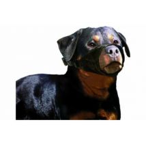 Flamingo -Muselière en nylon noir Taille XL - Rottweiller