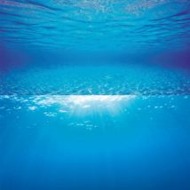 Juwel -Poster aquarium paroi arrière 150 cm x 60 cm Modèle 2