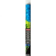 Zolux -Poster décoration fond racines et fond marin