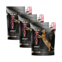 PrimaCat - Grain Free pour chat - Lot de 3 sacs saveur saumon - 1,4 kg- Poulet | Saumon