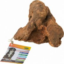 Bubimex -Racines à mâcher - Taille L (300-500g)