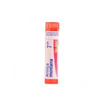 Boiron Arnica Montana C7 Globulos 4 Gr