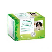 Gasteel Vet 30 Sobres