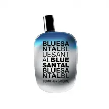 Bleu 100 ml