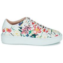 Baskets basses Ted Baker LONNIA