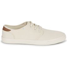 Baskets basses Toms CARLO