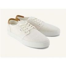 Baskets basses Toms CARLO