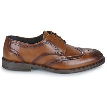 Derbies Carlington LOUVIAN