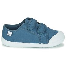 Baskets basses enfant Citrouille et Compagnie GLASSIA