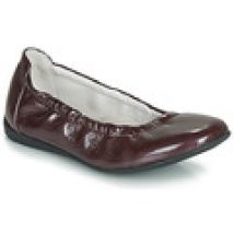 Ballerina's Ramdam  LIBRE