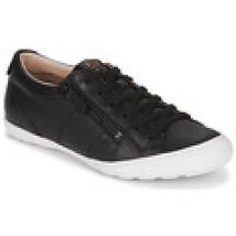 Lage Sneakers Palladium  GALOPINE SVG