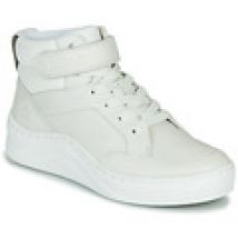 Hoge Sneakers Timberland  RUBY ANN CHUKKA