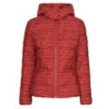Donsjas Desigual  NATASHA