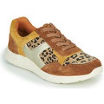 Lage Sneakers Damart  62328