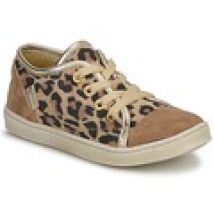 Lage Sneakers Pinocchio  -