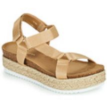 Sandalen Steve Madden  KODIAK