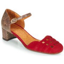 Pumps Chie Mihara  KAEL