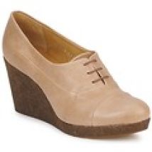 Low Boots Coclico  HAMA