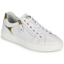 Lage Sneakers NeroGiardini  NOLLA