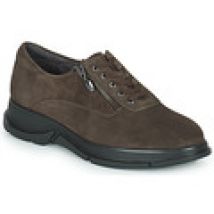 Lage Sneakers Scholl  BRISTOL ZIP