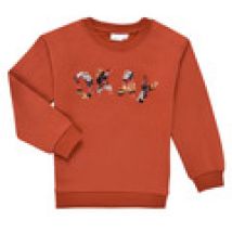 Sweater Name it  NKFOCALI LS SWEAT