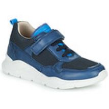 Lage Sneakers Bisgaard  PAX