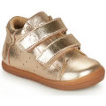 Hoge Sneakers Citrouille et Compagnie  TAPELLE
