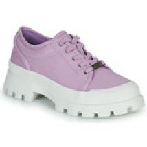 Lage Sneakers Steve Madden  MT FUJI