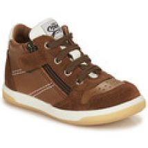 Hoge Sneakers GBB  FREDDY