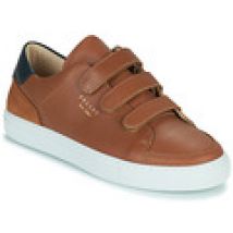 Lage Sneakers Pellet  SID