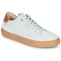 Lage Sneakers Pellet  SIMON