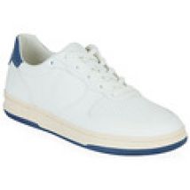 Lage Sneakers Clae  MALONE