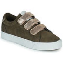 Lage Sneakers Kaporal  TIPPY