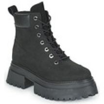 Laarzen Timberland  Timberland Sky 6In LaceUp