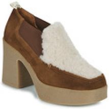 Low Boots Castaner  Elsa