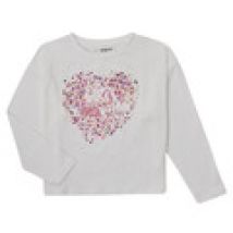 T-Shirt Lange Mouw Desigual  ALBA