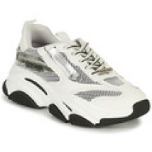 Lage Sneakers Steve Madden  POSSESSION