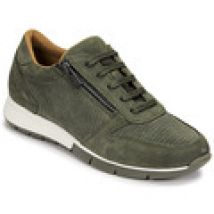 Lage Sneakers Dream in Green  ARTEMISIA