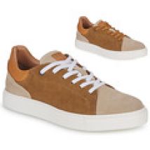 Lage Sneakers Pellet  JOSEPH
