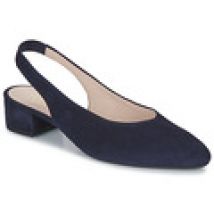 Ballerina's Gabor  2152016