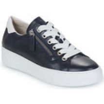 Lage Sneakers Gabor  2646566