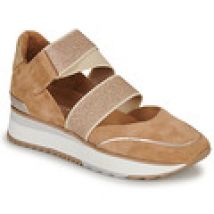 Lage Sneakers Adige  XARI