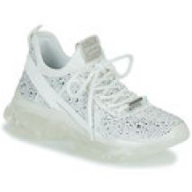 Lage Sneakers Steve Madden  MAXIMA-R
