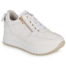 Lage Sneakers NeroGiardini  E306371D-707
