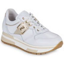 Lage Sneakers NeroGiardini  E306361D-707