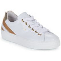 Lage Sneakers NeroGiardini  E306510D-707