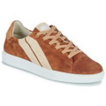 Lage Sneakers Caval  SLASH BROWN COFFEE