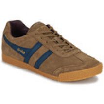 Lage Sneakers Gola  HARRIER