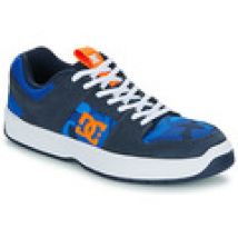 Lage Sneakers DC Shoes  LYNX ZERO