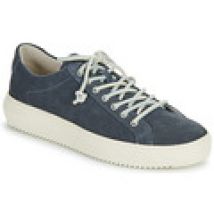 Lage Sneakers Blackstone  ZG22